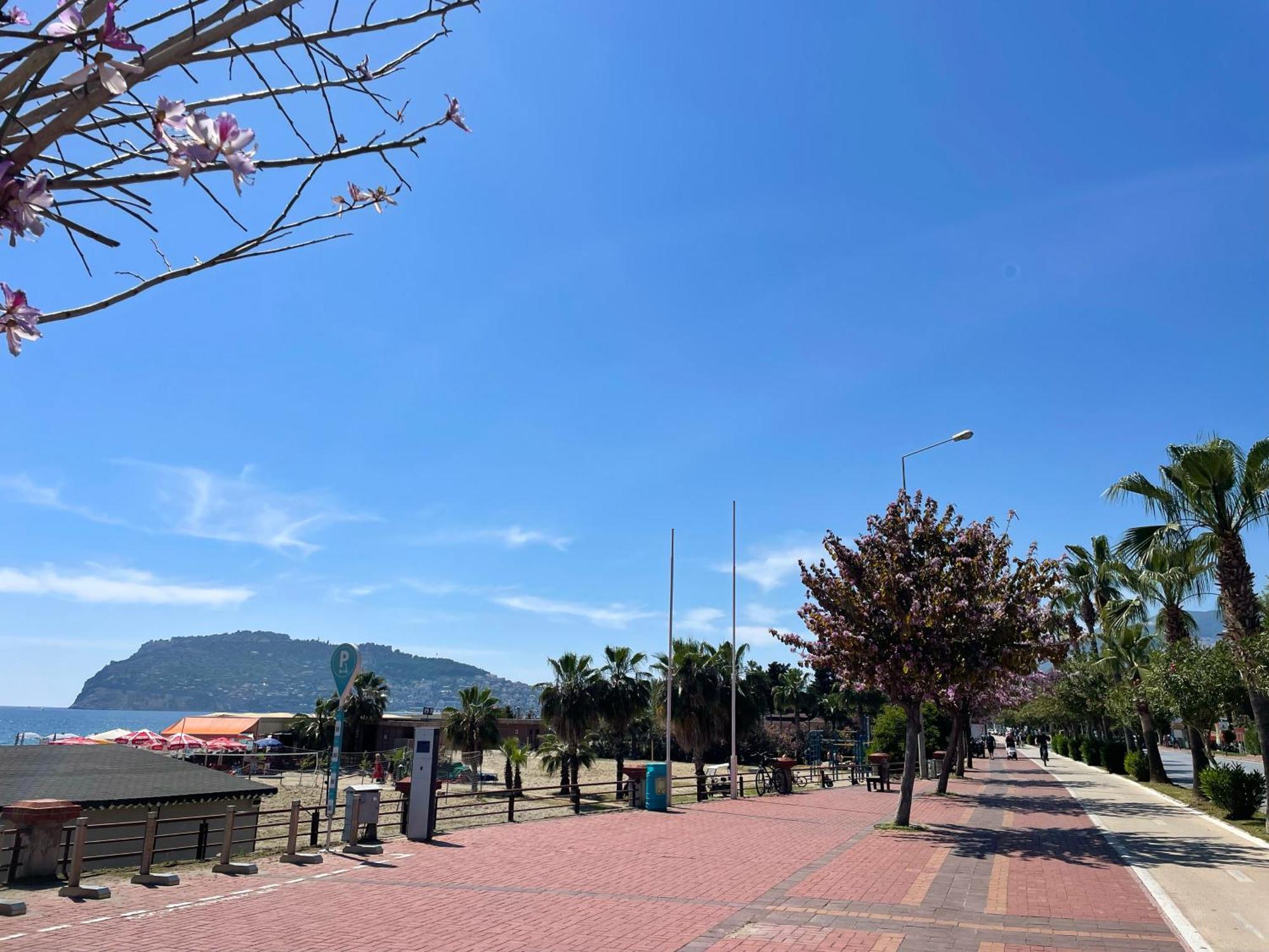 Sa Apartments! 2Bd Flat Sea And Mountain View Alanya Exterior foto